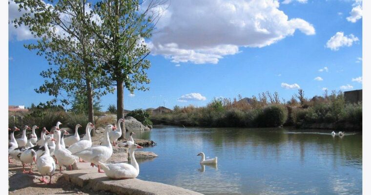 Burguillos de Toledo
