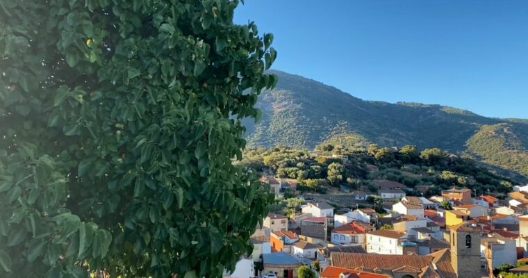 Hinojosa de San Vicente