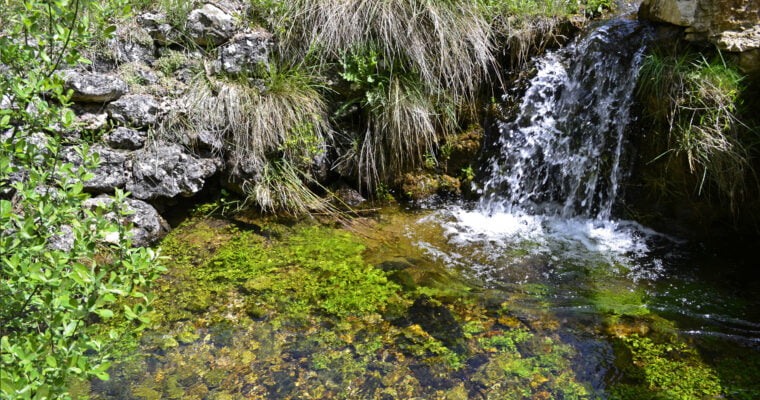 Huerta del Marquesado