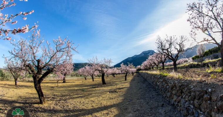 Que ver en el Municipio de Almendros en Castilla La Mancha
