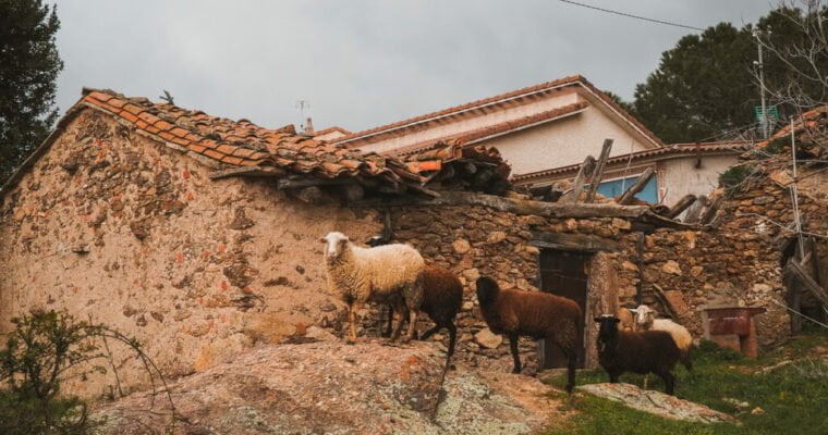 Que ver en el Municipio de Cincovillas en Castilla La Mancha