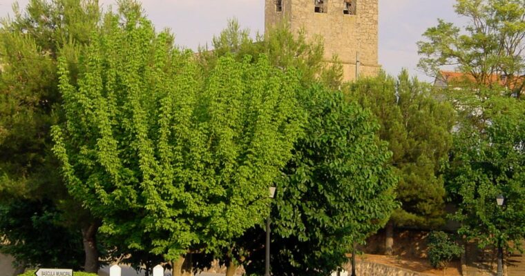 Que ver en el Municipio de El Peral en Castilla La Mancha