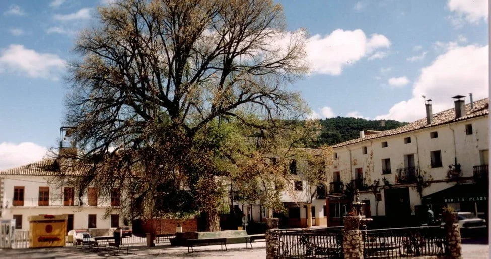 Que ver en el Municipio de Pareja en Castilla La Mancha
