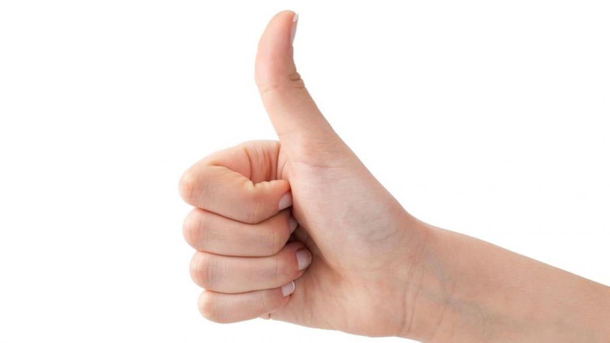 Pulgar