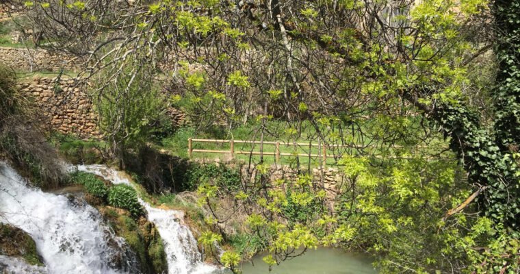 Que ver en el Municipio de Algar de Mesa en Castilla La Mancha