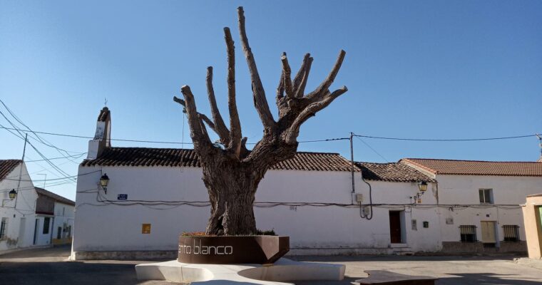 Que ver en el Municipio de Casas de Ves en Castilla La Mancha