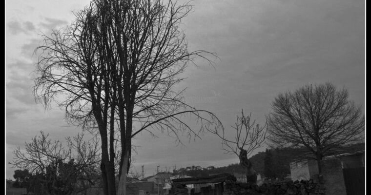 Que ver en el Municipio de Cervera de los Montes en Castilla La Mancha