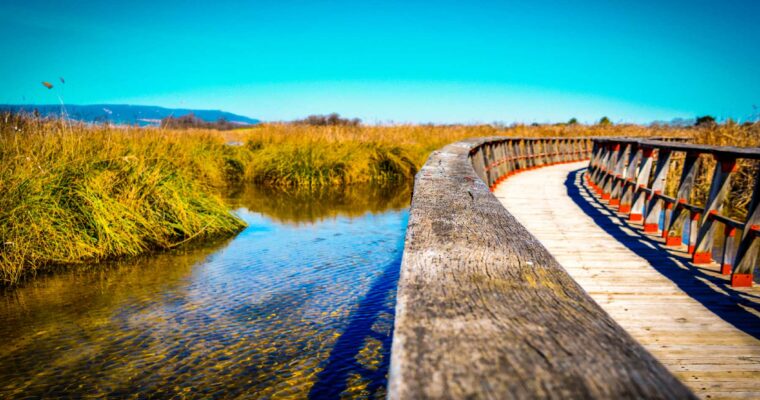Que ver en el Municipio de Daimiel en Castilla La Mancha