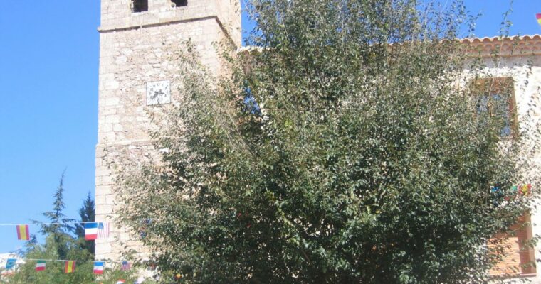 Que ver en el Municipio de Henarejos en Castilla La Mancha