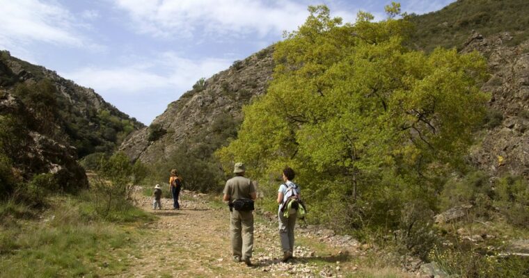 Que ver en el Municipio de Navas de Estena en Castilla La Mancha