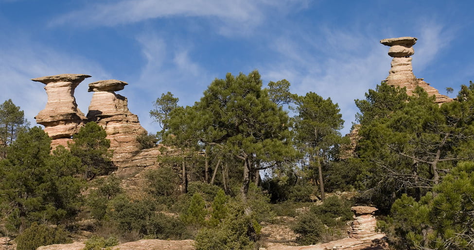 Que ver en el Municipio de Pajaroncillo en Castilla La Mancha