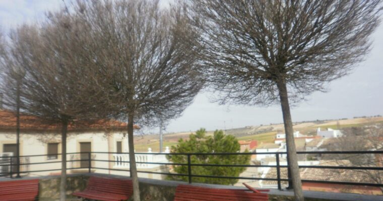 Que ver en el Municipio de Pinarejo en Castilla La Mancha