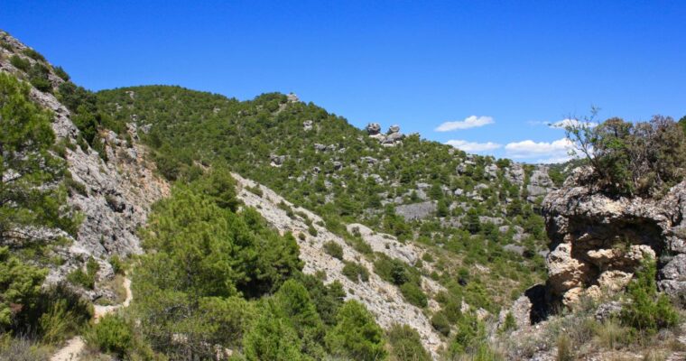 Que ver en el Municipio de Portilla en Castilla La Mancha