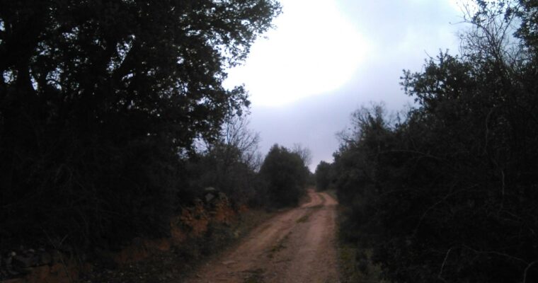 Que ver en el Municipio de Rueda de la Sierra en Castilla La Mancha