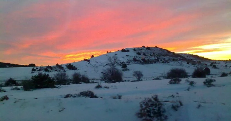Que ver en el Municipio de Torremocha del Pinar en Castilla La Mancha