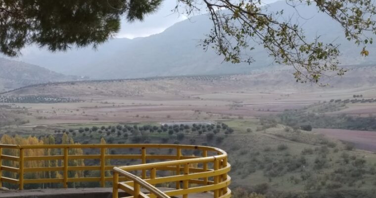 Que ver en el Municipio de Villapalacios en Castilla La Mancha