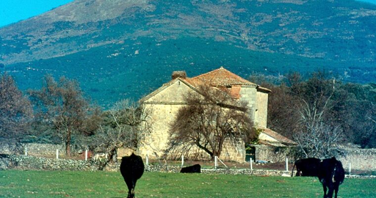 Sotillo de las Palomas